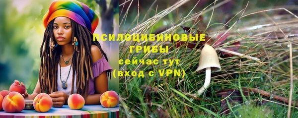 гидропоника Щучье
