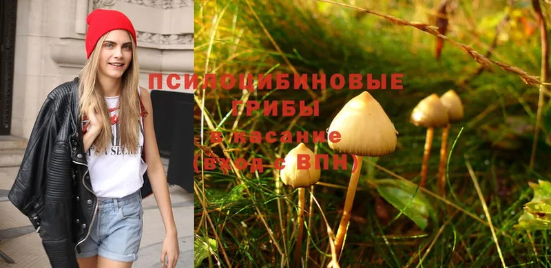 Галлюциногенные грибы MAGIC MUSHROOMS  Каспийск 