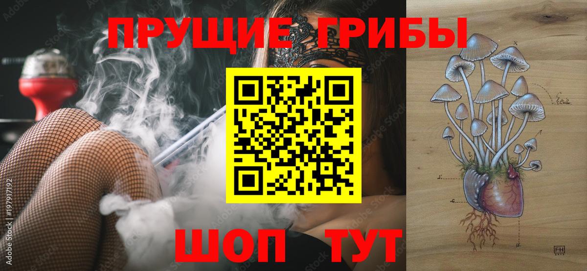 Галлюциногенные грибы прущие грибы Каспийск
