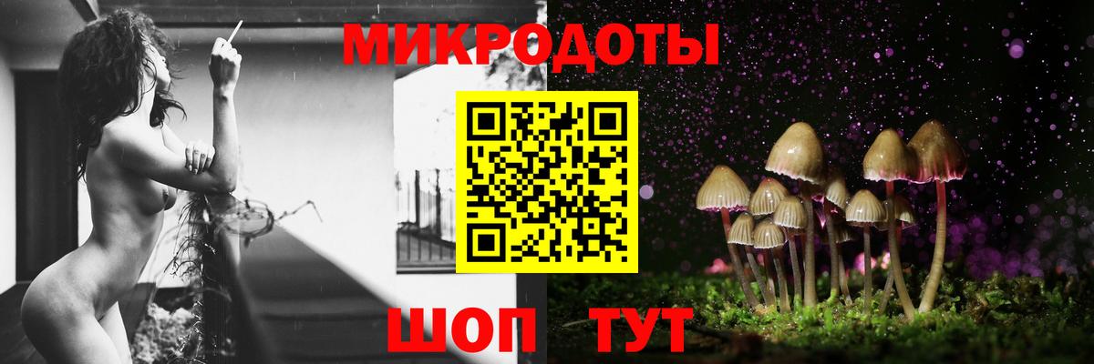 Каспийск  как найти   Псилоцибиновые грибы мицелий  Вход с VPN  Псилоцибиновые грибы Cubensis 
